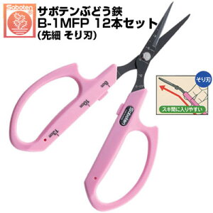 ił)(12{Zbg) Ԃǂ T{e n NO.B-1MFPyT{e Ԃǂ͂ E [ n ڐt y XeX tbfR[g sNF n Kтɂ ʎH 