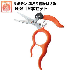 (łI)(12{Zbg) Ԃǂ T{e E͂ NO.B-2yT{e ԂǂE ʎnw XeXn ɍאn 肪g Trɋ UP _ ʎ ό_ Ԃ