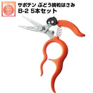 (送料無料でお得！)(5本セット) ぶどう鋏 サボテン 摘粒はさみ NO.B-2【サボテン ぶどう摘粒鋏 面取り刃…