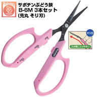 (送料無料でお得！)(3本セット) ぶどう鋏 サボテン 先丸 そり刃 NO.B-6M【サボテン ぶどう はさみ 摘粒 …
