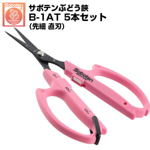 (łI)(5{Zbg) Ԃǂ T{e n NO.B-1AT ͂ŎŊJ yT{e Ԃǂ͂ E [ n ڐt y sNF XeX tbfR[g n ʎ