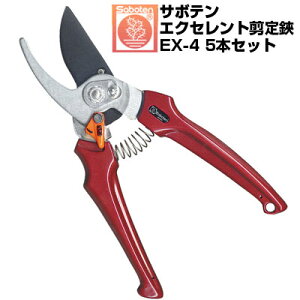 (łI)(5{Zbg) ΂ T{e GNZg NO.EX-4yT{e ͂ JVXbh ʎ Ԃǂ  ݂ S  ` tbfR[g _ ʎ | 