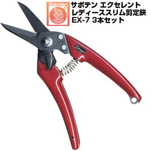 (送料無料でお得!)(3本セット) 剪定ばさみ サボテン エクセレントレディーススリム 剪定鋏 NO.EX-7【サボテン 剪定はさみ コンパクト カシスレッド 果樹 ぶどう うめ みかん リンゴ 梨 柿 フッ