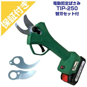 �y�v���~�A�ۏؕt���z�V���Z�C �[�d�� �}�؂΂��� TIP-250 �֐n�Z�b�g�t