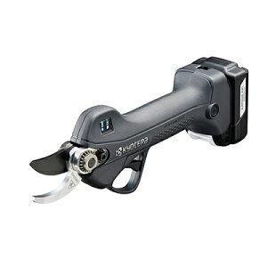 (lzOK) Z [d΂ DSH1120L2({́Eobe[E[dt)