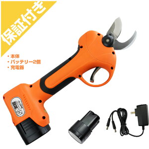 jVKLH d͂ ۙ25(obe[E[dt)Pt