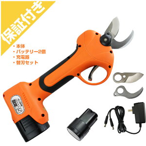 jVKLH d͂ ۙ25 ֐n obe[ [dtZbg Pt