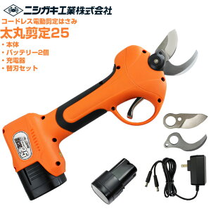 jVKLH d͂ ۙ25 ֐ntZbg(obe[E[dt)