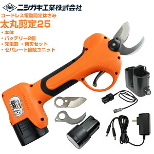 jVKLH d͂ ۙ25 Zp[gڑjbg ֐n obe[ [dt