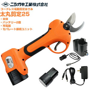 jVKLH d͂ ۙ25 Zp[gڑjbg obe[[dZbg