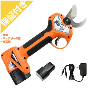 jVKLH d͂ ۙ32(obe[E[dt)Pt