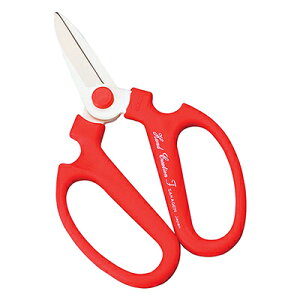 ⌹ #353 nhNG[V F180 bh BP