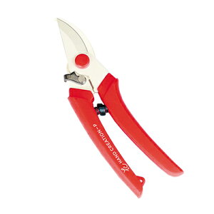 ⌹ #355 nhNG[V P180 bh BP