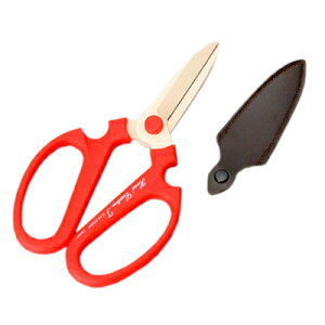 ⌹ #357 nhNG[V F195 bh BP