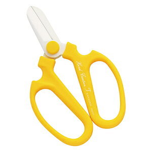 ⌹ #359 nhNG[V FL[g CG[ BP