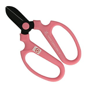 ⌹ #81352 nhNG[V F170 n sN BP