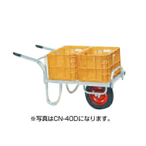 A~ ֎ ylzsznbNX CN-40DX A~ R y100Lύ 20kgReiő2ύ WKC _CR ʂ˂ S XCJ jW nz yGA[^Cz