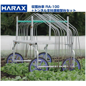 �y�l��z��OK�z �n���b�N�X �y���Y RA-100 RA100 �A���~�� ���n��� �g���l���x���^���ˑ�Z�b�g �y���������z�y150kg�ύ� �L���x�c �_�C�R�� ���� �t����� ��� ���n ��Ƒ�� ���� �^�C���� 