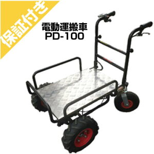 yv~Aۏؕtza d^ lփ^Cv PD-100