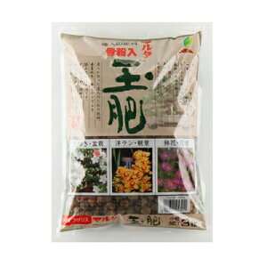 JOYAOX }^ ʔ  3kg 6Zbg (1P[X)  Ԃڂ؎ {pBi L@100