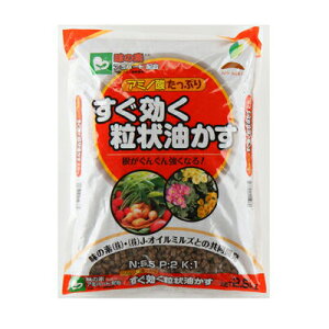 JOYAOX   2.5kg 8Zbg (1P[X) ̑f̃A~m_ j_L@엿A~n[gz J-IC~Y