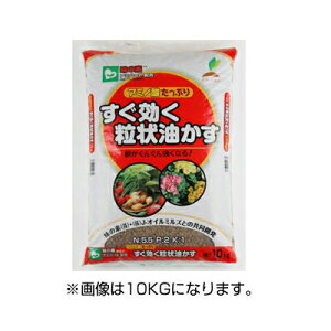 JOYAOX   5kg 4Zbg (1P[X) ̑f̃A~m_ j_L@엿A~n[gz J-IC~Y