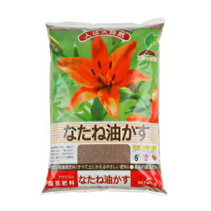 JOY�A�O���X �Ȃ��˖����� 5kg 4�Z�b�g �i1�P�[�X�j �؎� ���� �L�@100�� �ł���{�I�ȉ��|�엿 ���� �ǔ�