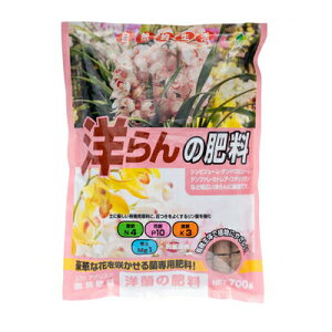 JOY�A�O���X �m���̔엿 700g 30�Z�b�g �i1�P�[�X�j �V���r�W���[�� �f���h���r�E�� �f���t�@�� �J�g���A �R�`���E���� �Ӓ��� ��y ���ʗv�f