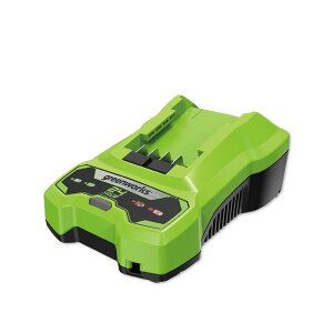 yO[[NXz CAG809 [d y4.0Az ygreenworksz