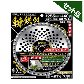楽天市場 斬鉄剣の通販