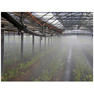 Z_Ǝ ~XgG[X20 t 100m `[u 󐅃`[u