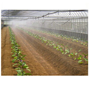 Z_Ǝ ~XgG[X20 nEXN[04 100m וEȈ՗[ `[u 󐅃`[u