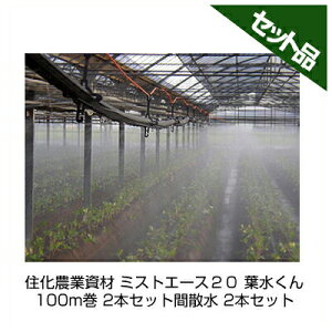 Z_Ǝ ~XgG[X20 t 100m 2{Zbg `[u 󐅃`[u