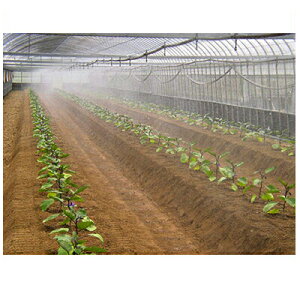 Z_Ǝ ~XgG[X20 nEXN[02 100m וEȈ՗[ `[u 󐅃`[u