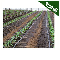 住化農業資材 ネオドリップ ヨコシタ 04L 200m巻 (上)5千鳥(下)10千鳥 3本セット 潅水チューブ 灌水チュ…
