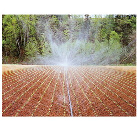住化農業資材 スミレイン 40 110m巻 潅水チューブ 灌水チューブ