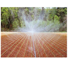 住化農業資材 スミレイン 40HD 55m巻 (高畝用) 潅水チューブ 灌水チューブ