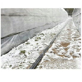 住化農業資材 スミサンスイ R消雪 100m巻 (~6m) 潅水チューブ 灌水チューブ