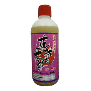  500ml VZC ͂ꑾY 500ml 10{ OzT[gC\vsA~41% u_ƂĎgpł܂v _knp
