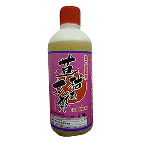  500ml VZC ͂ꑾY 500ml 20{ OzT[gC\vsA~41% u_ƂĎgpł܂v _knp