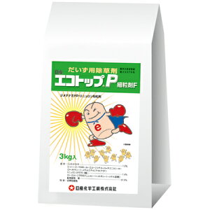 y_z GRgbvP חF 3kg y|p ܁z 哤p py돈 ClȁELtGɈ肵Č