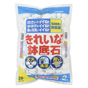 Ԃ ꂢȔ 2L x 24 zCgXg[ʋCEr ŌyʂȌy ԂgĂɂ