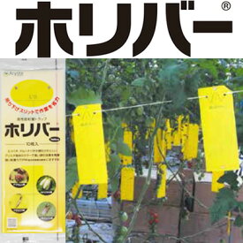 ホリバー 【誘引 粘着板】 ホリバーイエロー 10枚 黄 害虫モニタリング 害虫全般 コナジラミ アブラムシ ハモグリバエ アザミウマ トラップ