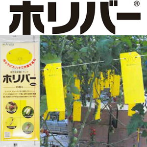 zo[ yU Sz zo[CG[ 10  Qj^O QS RiW~ AuV nOoG AU~E} gbv