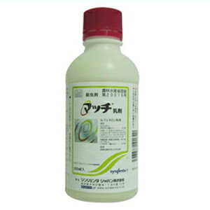 y_z }b` 250mL y|p E܁z