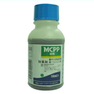 y_z MCPPt 100ml y|p ܁z XMi N[o[ LtG ΒnǗ { m u[OX