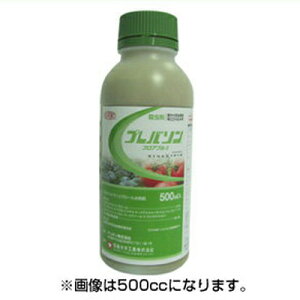 y_z vo\tAu5 250mL y|p E܁z