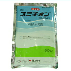 y_z X~`Ia 500g y|p E܁z     Ԃǂ Ƃ ` I