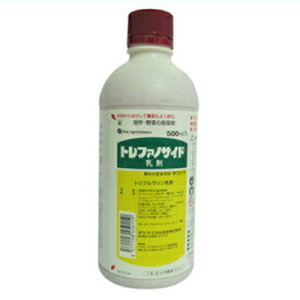 y_z gt@mTCh 500mL y|p ܁z