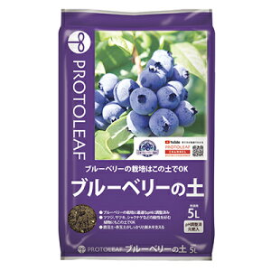 vg[t u[x[̓y 14L x 5 y ԋʓy ccW TcL VNiQ _